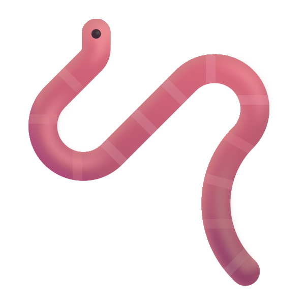 Worm Color Vector