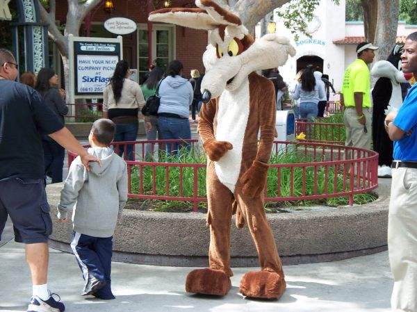 013 Cartoon Characters (1) - Wile E Coyote