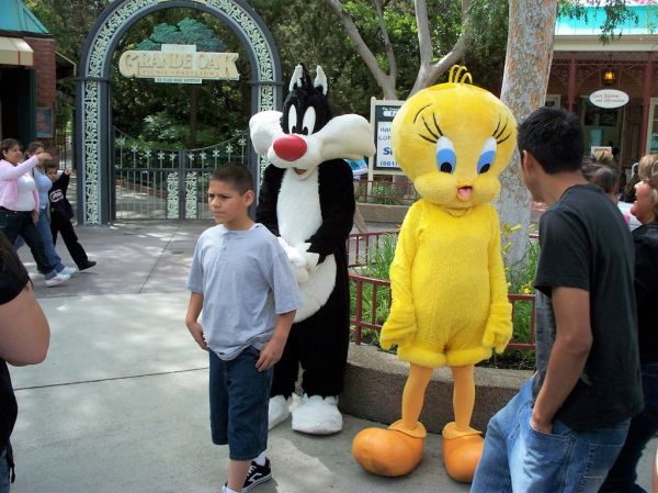 015 Cartoon Characters (3) - Sylvester Cat & Tweety Bird
