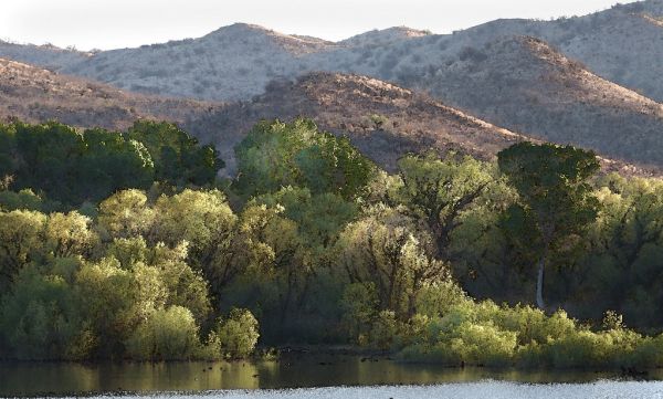10cab - PATAGONIA LAKE STATE PARK, east end (3-19-2017) -02 watercolor