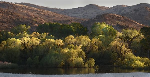 10cab - PATAGONIA LAKE STATE PARK, east end (3-19-2017) -03 watercolor