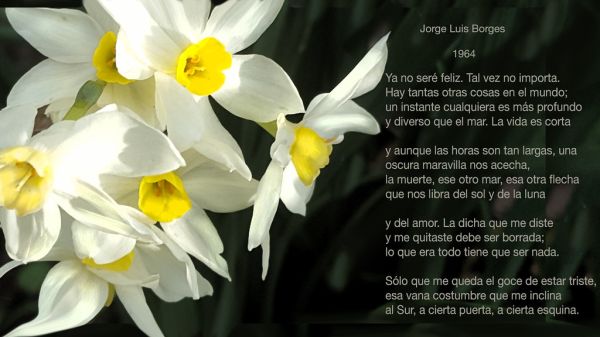1964 de jose luis Borges - Diaz De Vivar Gustavo