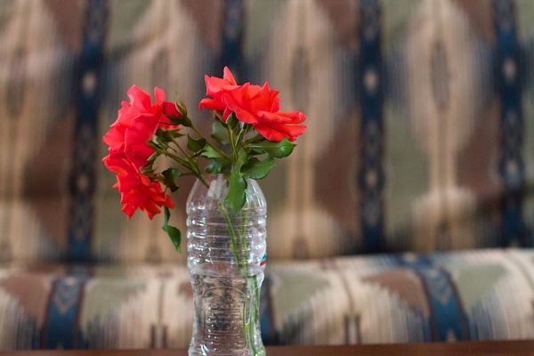 2014/365/226 Rose Story