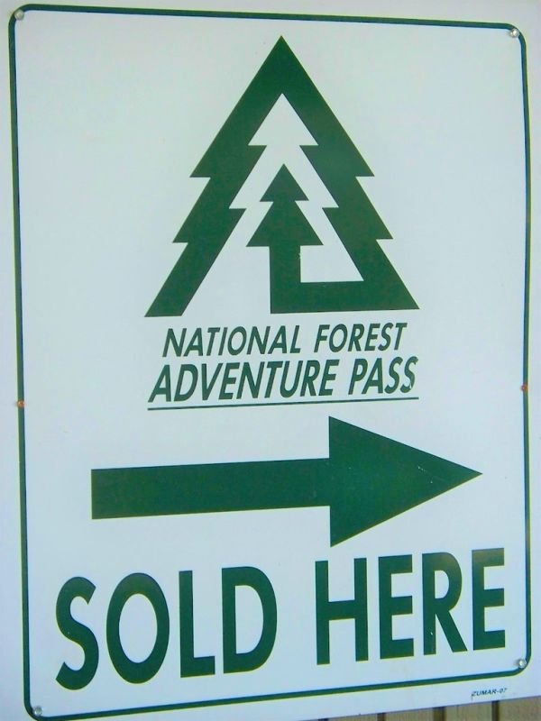 21 Cosmic Cafe Sells Food, Drinks, National Forest Adventure Pass, Souvenirs