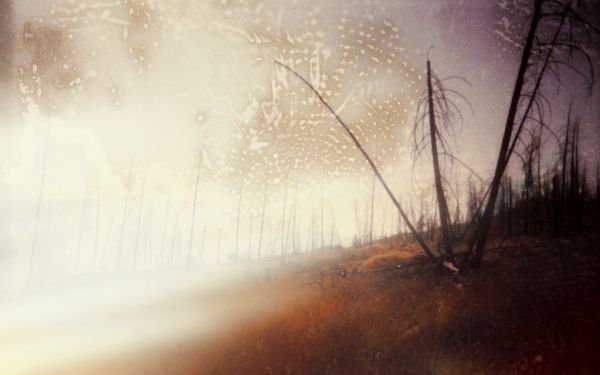 A Faint Whisper