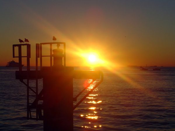 A Key West Sunset