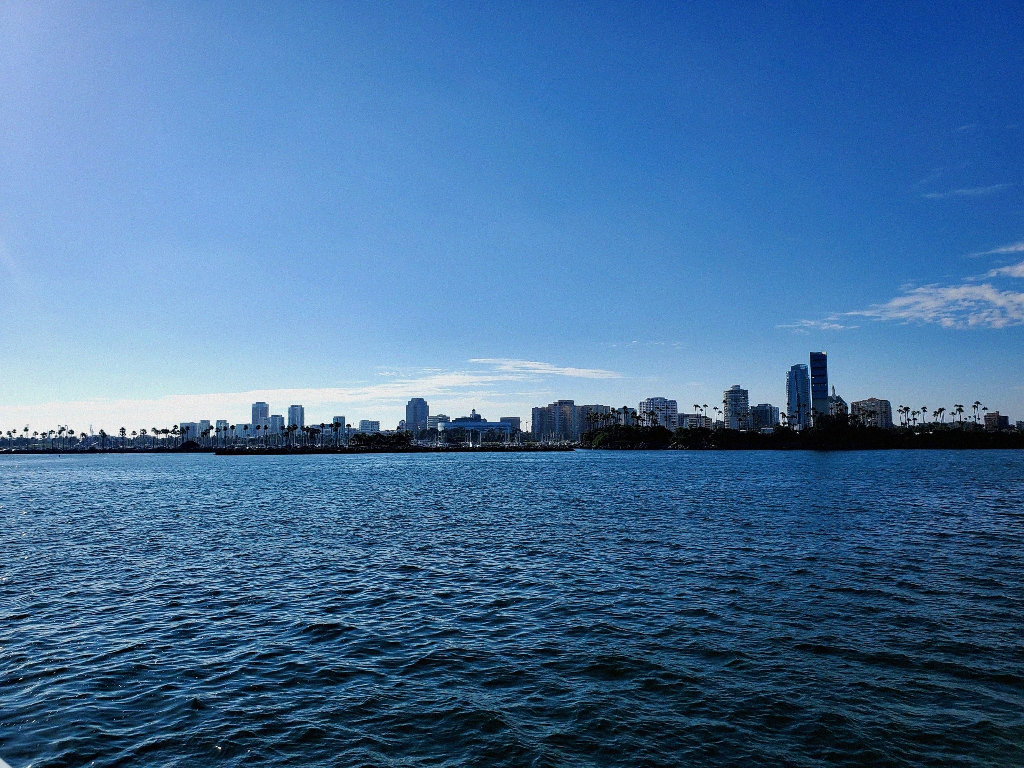 A panoramic view of a city skyline along a waterfront, featuring several tall buildings and palm trees lining the shore. The scene is set against a clear blue sky, with gentle waves reflecting the sun...