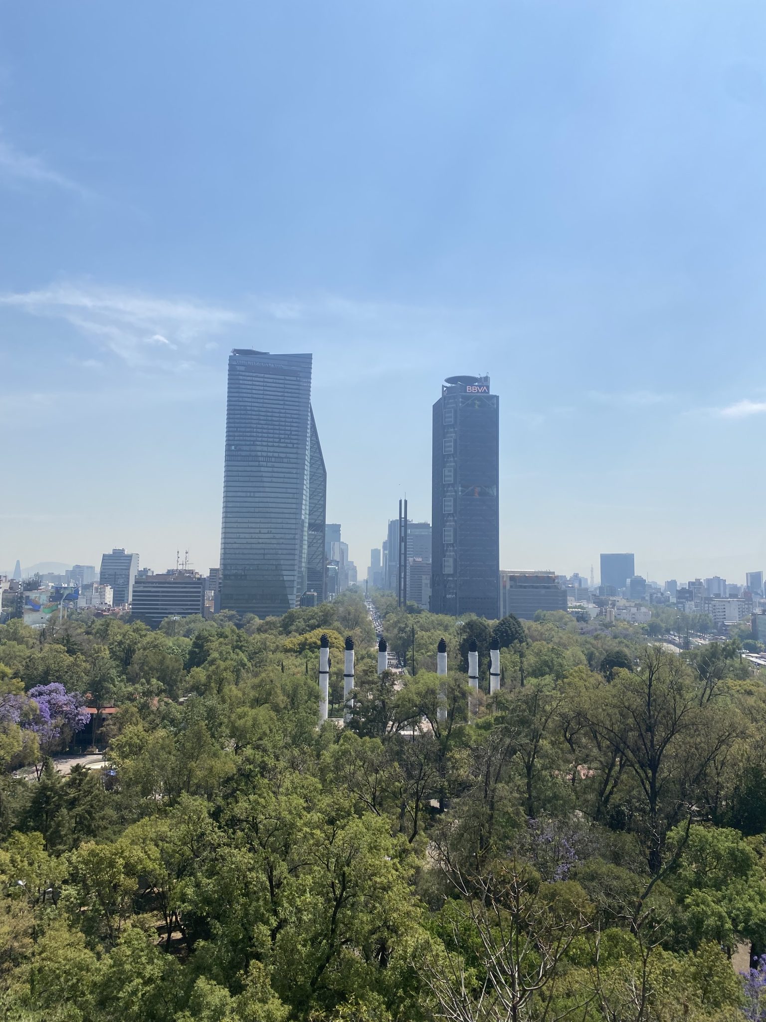 A panoramic view of a city skyline featuring tall modern skyscrapers, surrounded by lush green trees and landscaped park areas. In the foreground, there are rows of white columns and some purple flowe...