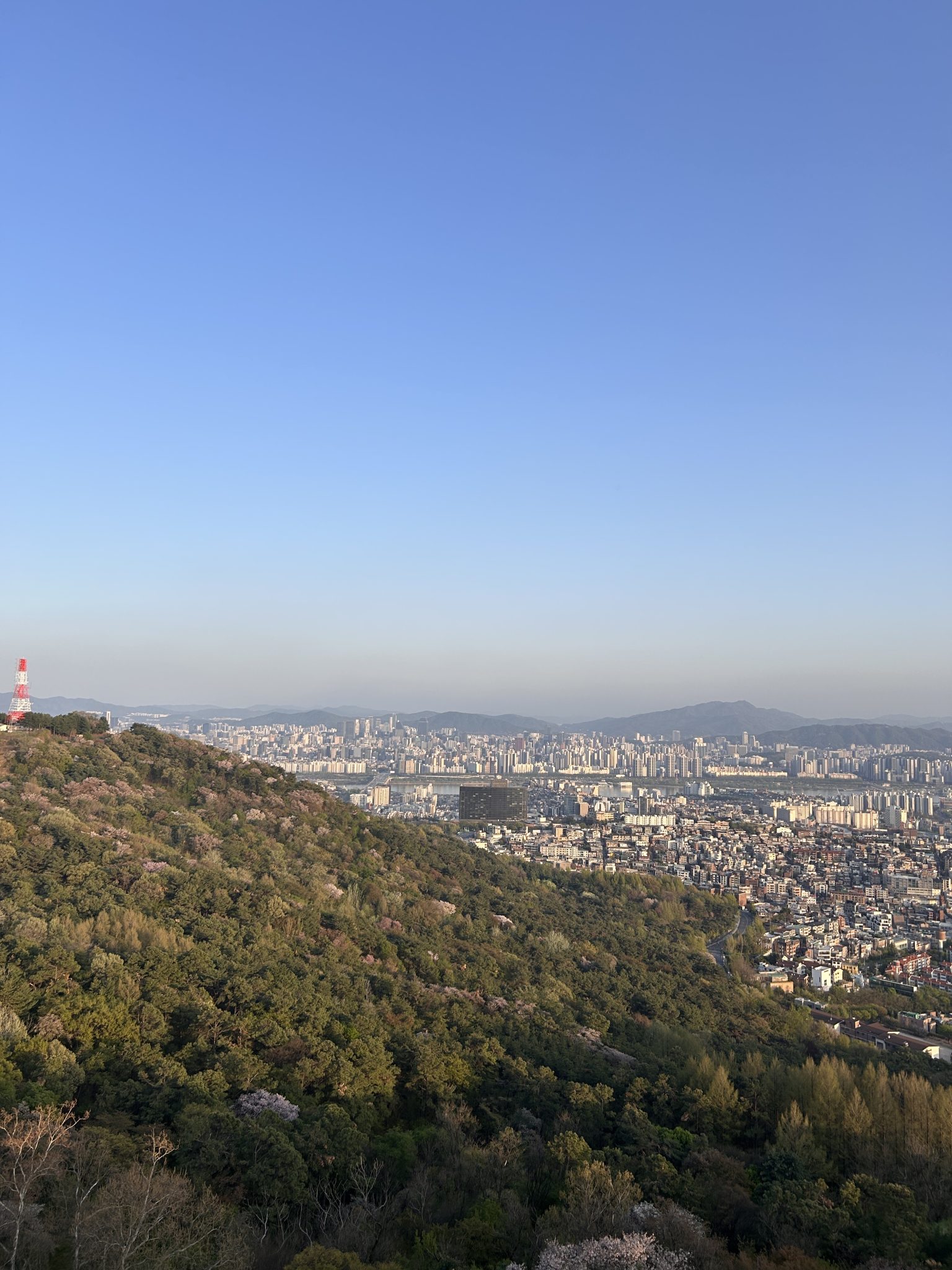 A panoramic view of a city skyline surrounded by green hills under a clear blue sky. In the foreground, lush vegetation with some flowering trees is visible, while the background showcases multiple hi...