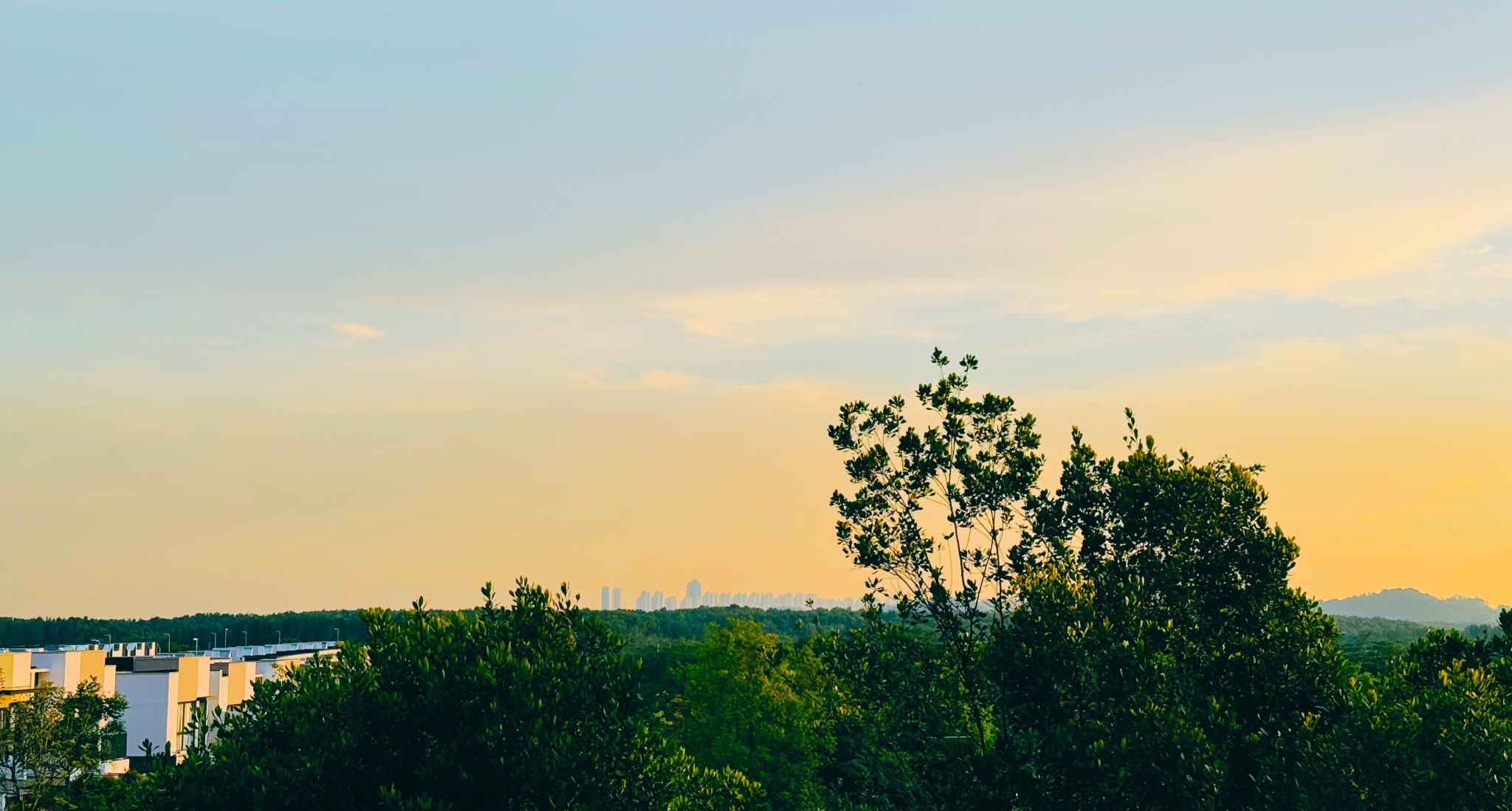 A panoramic view of a landscape during sunset, featuring lush greenery in the foreground, with trees and shrubs surrounding a cluster of modern white buildings. In the background, a city skyline is fa...