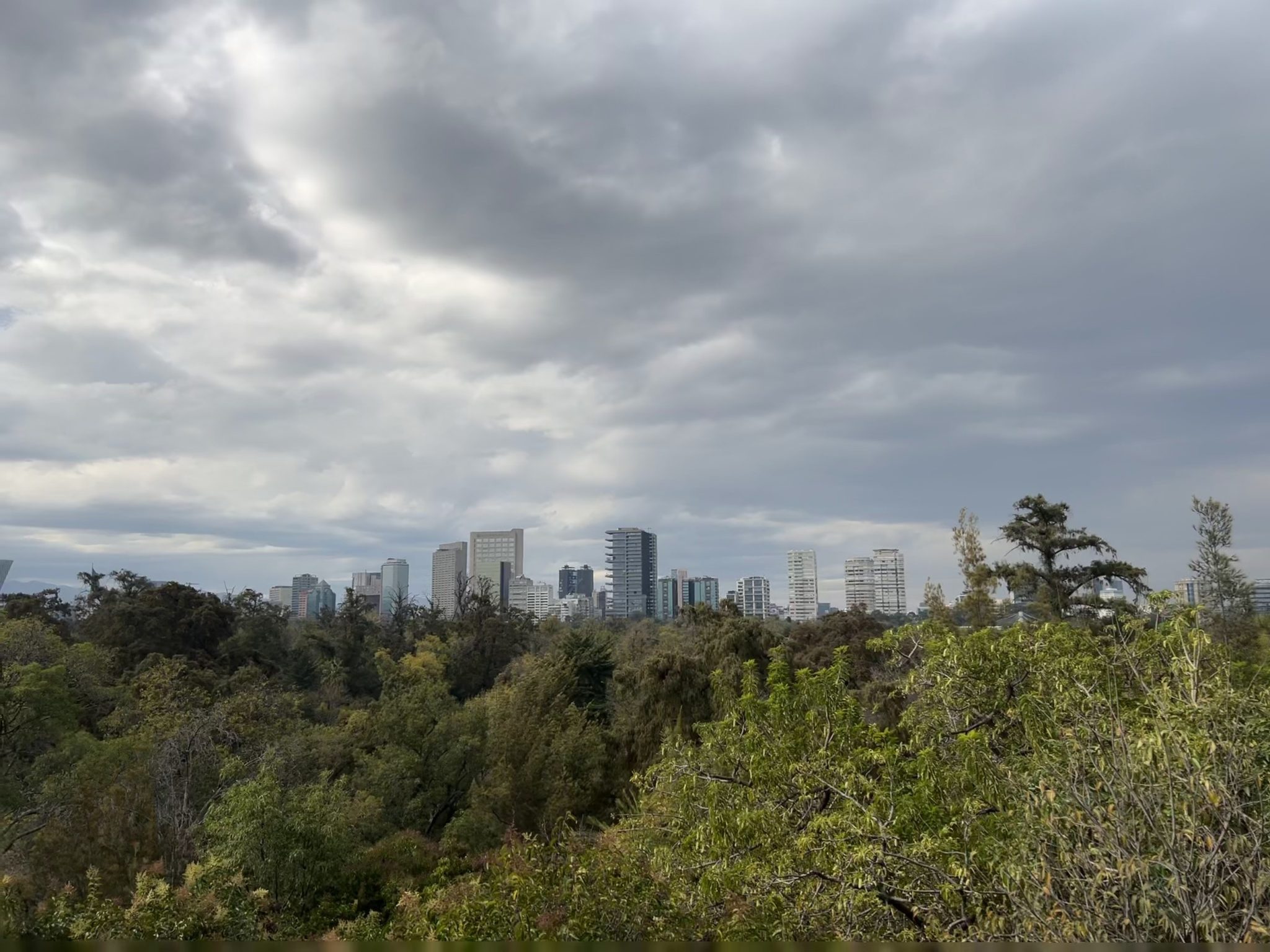 A view of a city skyline is seen in the distance, surrounded by lush greenery and trees in the foreground. The sky is overcast with gray clouds, creating a moody atmosphere. Modern buildings of varyin...