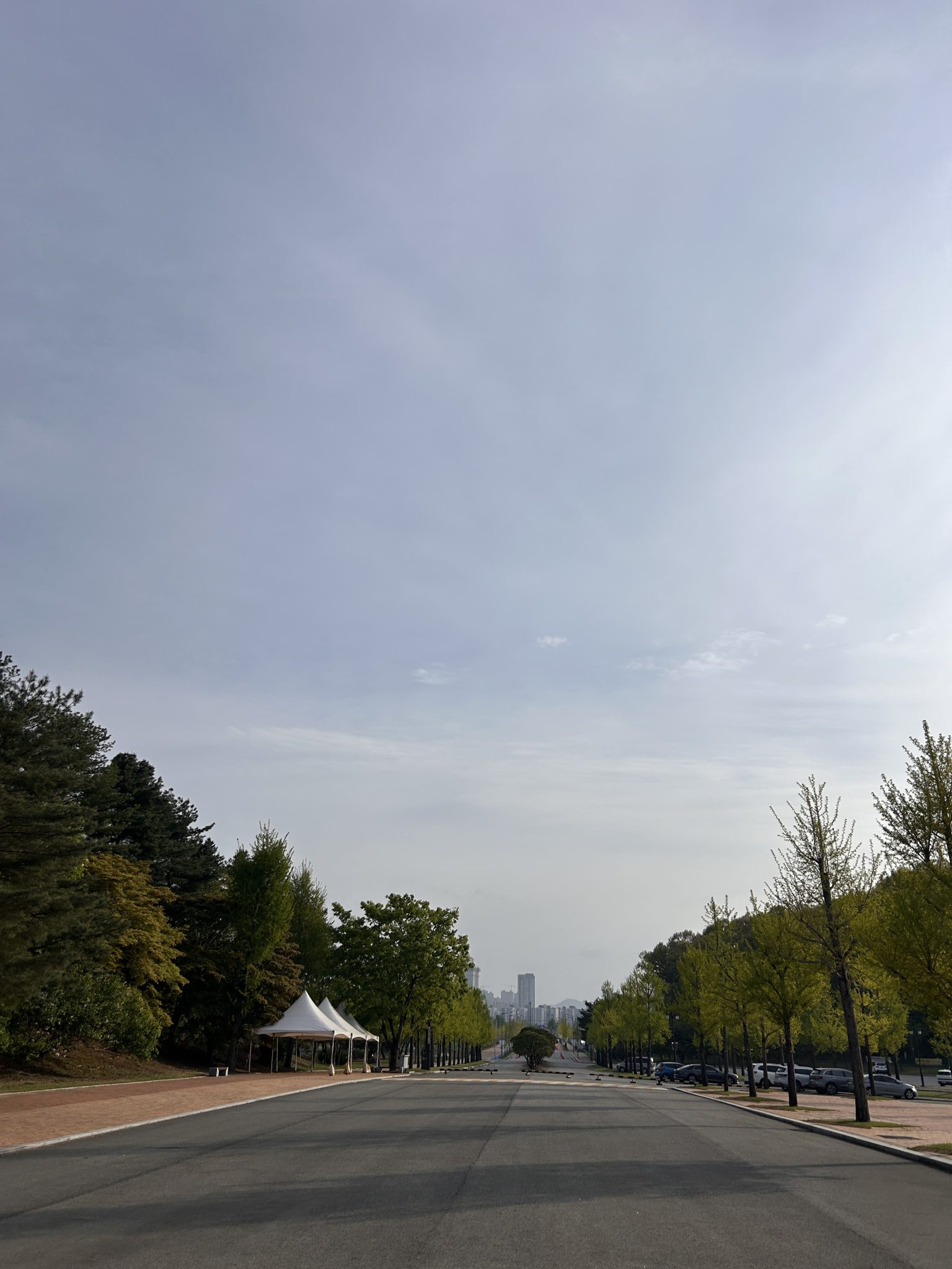 A wide, empty road stretches into the distance, flanked by green trees on both sides. A city skyline is off in the distance.