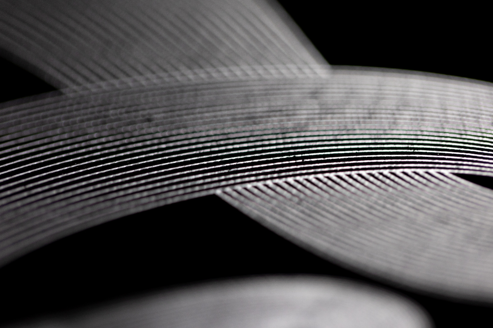 Abstract Curves