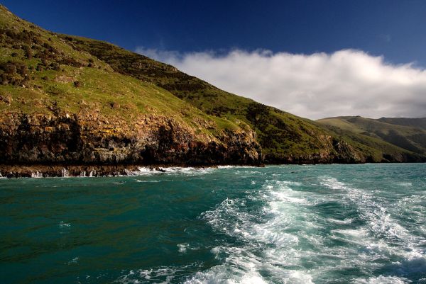 Akaroa Harbour NZ.