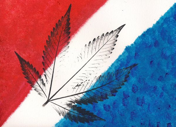 American Pot - 2015
