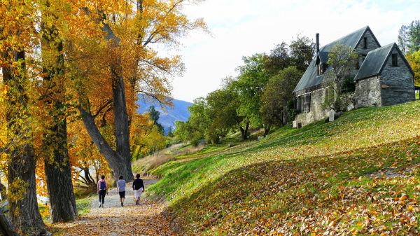An Autumn stroll.NZ