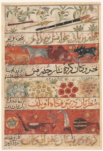 Animals, Precious Stones, Coins, and Musical Instruments (recto) from a Mu'nis al-Ahrar fi Daqa'iq al-Ash'ar (The Free Men's Companion to the Subtleties of Poems) of Muhammad Ibn B...