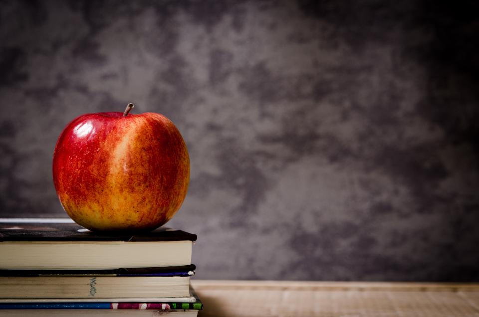 Apple Textbooks