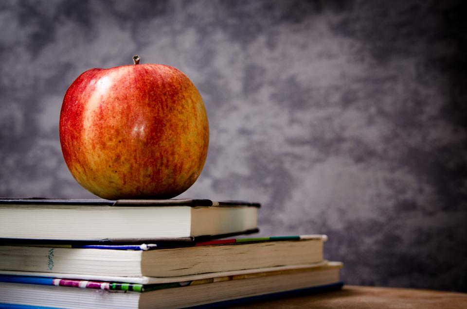 Apple Textbooks