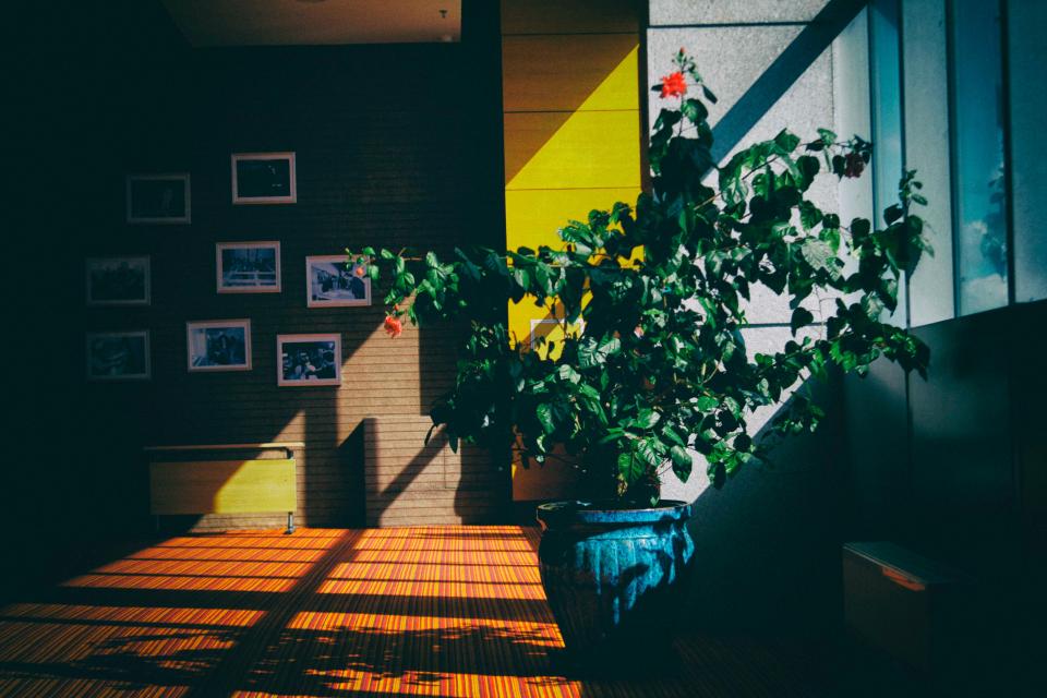 Architecture Building