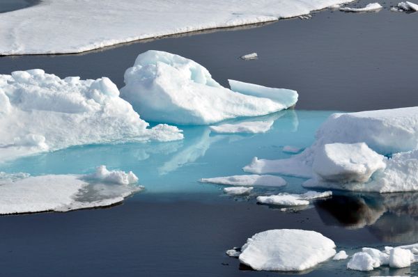 Arctic Ice