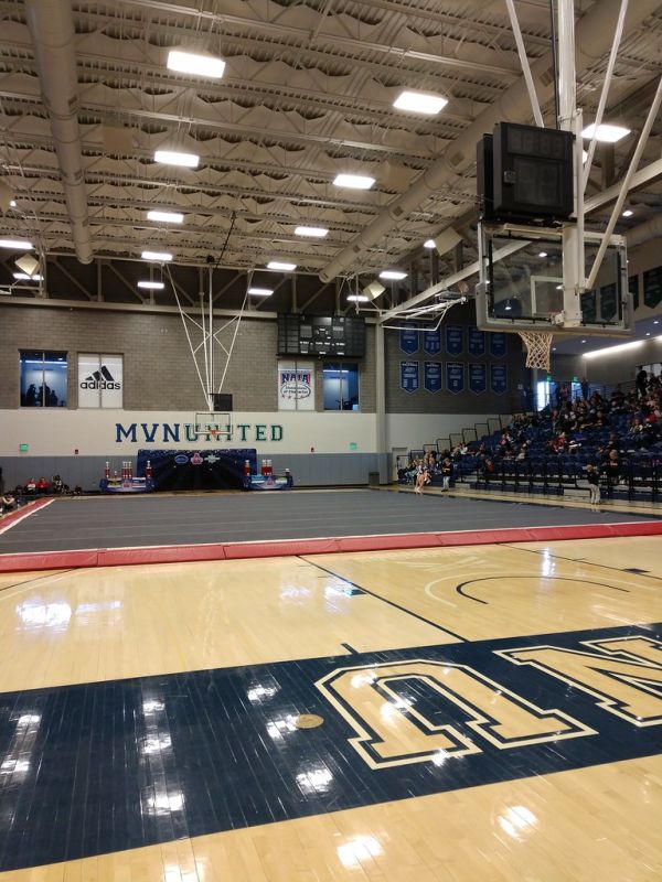 Ariel Arena