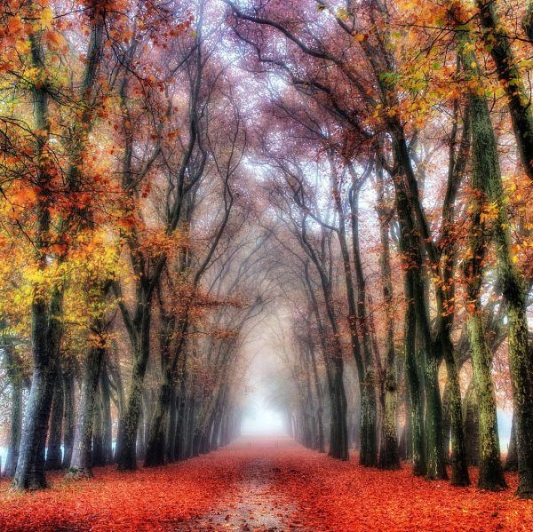 Autumn