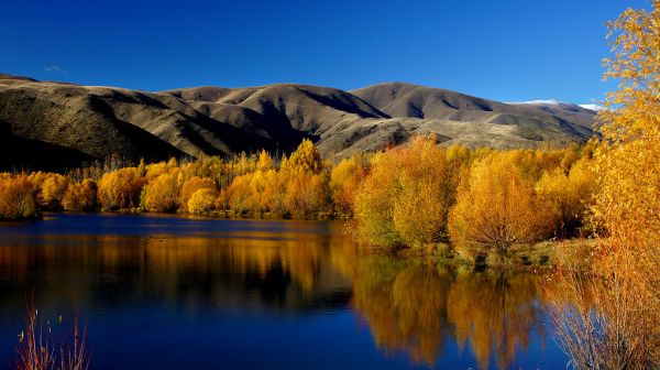 Autumn at Twizel, New Zealand.