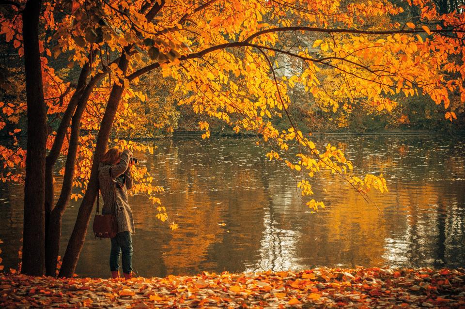 Autumn Fall