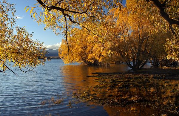Autumn Lake Tekapo. NZ