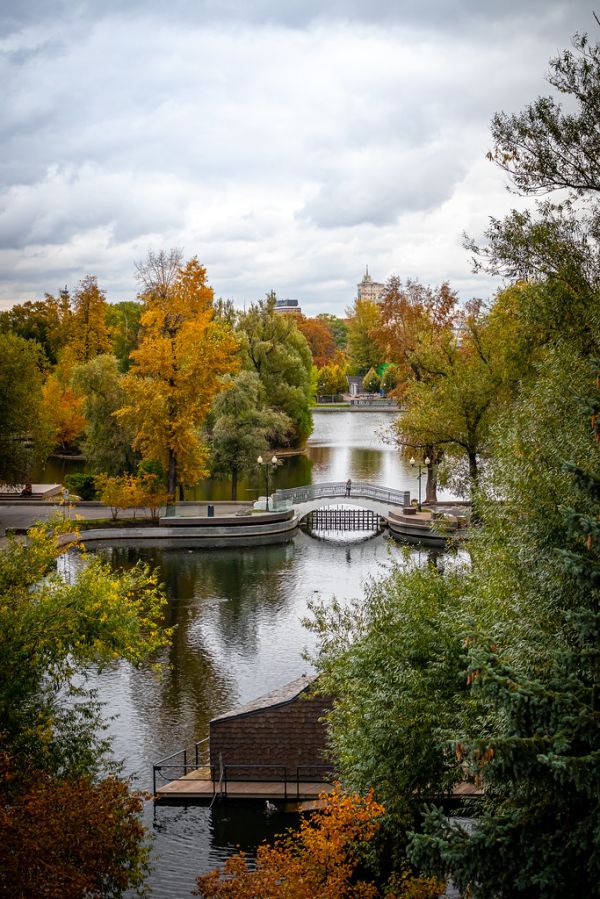 Autumn park