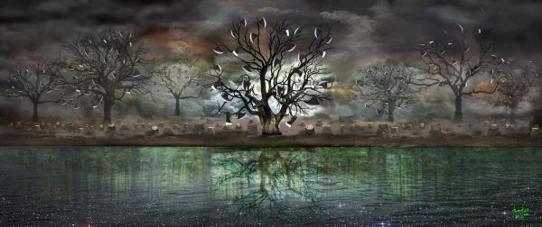 AX TREE - Illegal logging