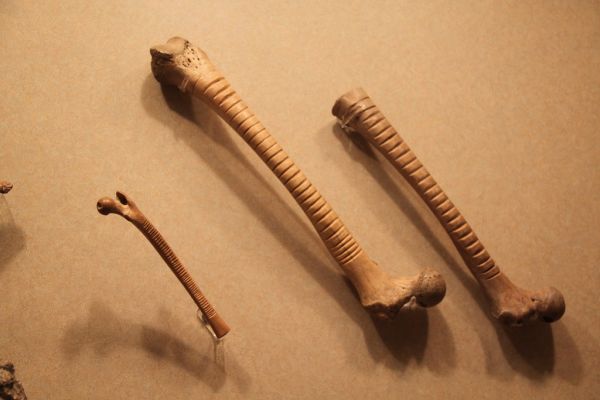 Aztec Bone Musical Instruments