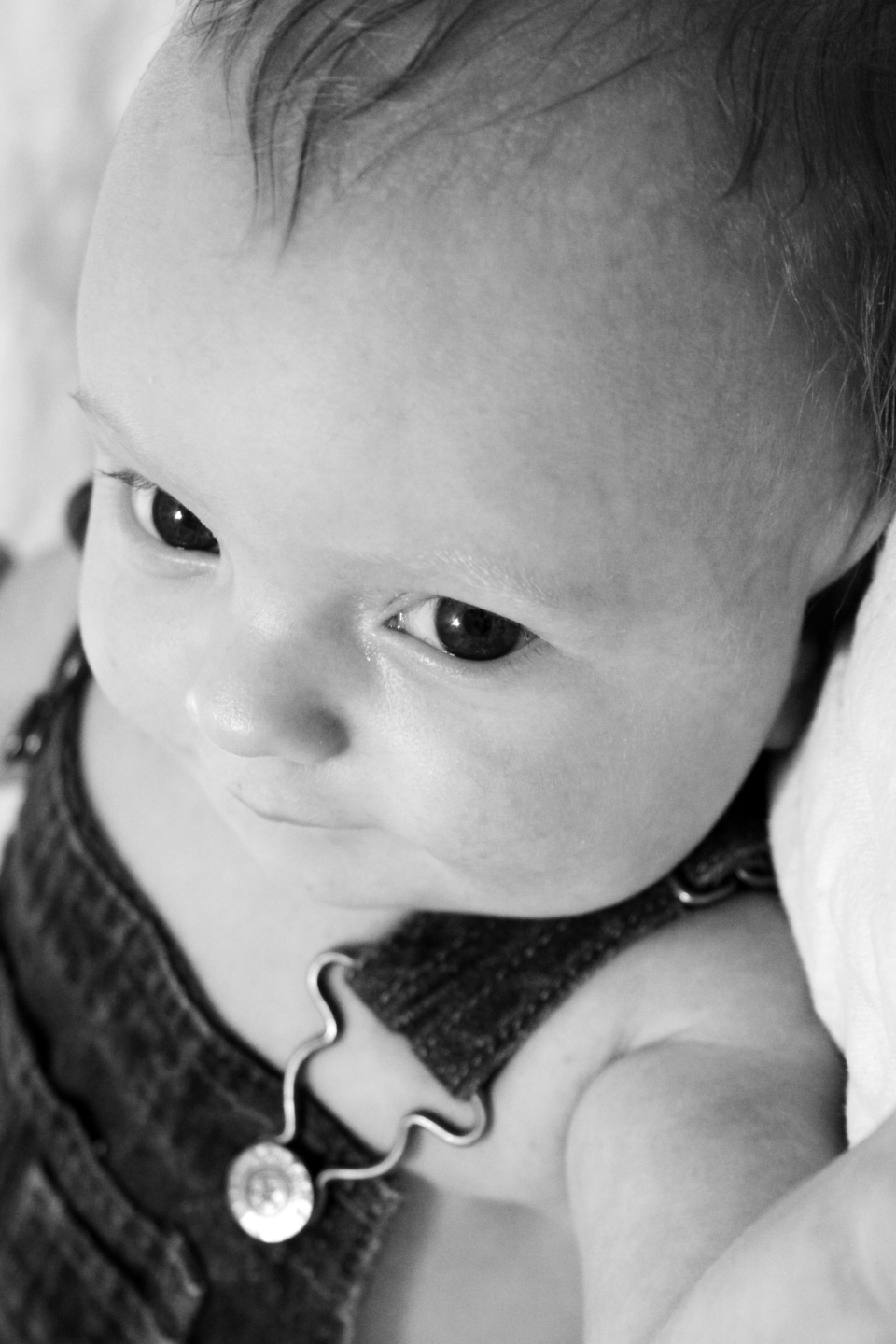 Baby Boy