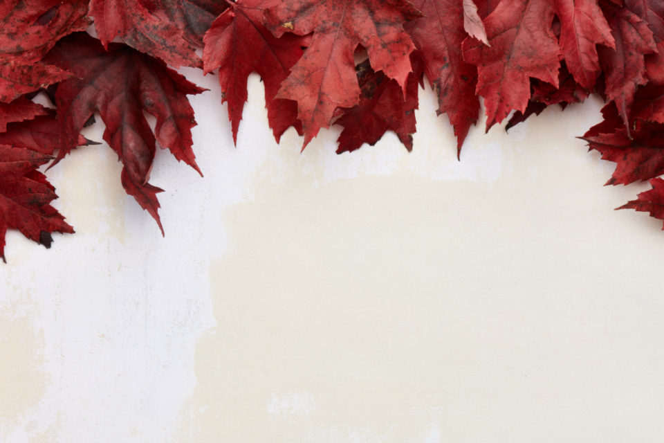 Background Leaves