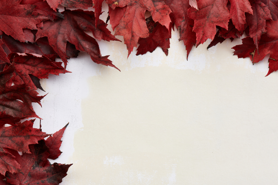Background Leaves