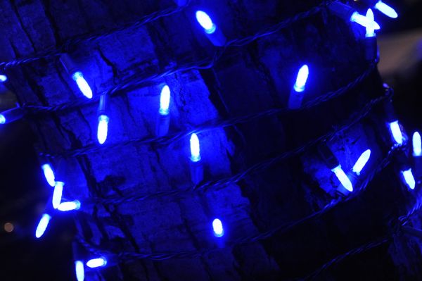 Ball and Chain - Big Mama Thornton, blues, blue lights bare Christmas tree, Seattle, Washington, USA