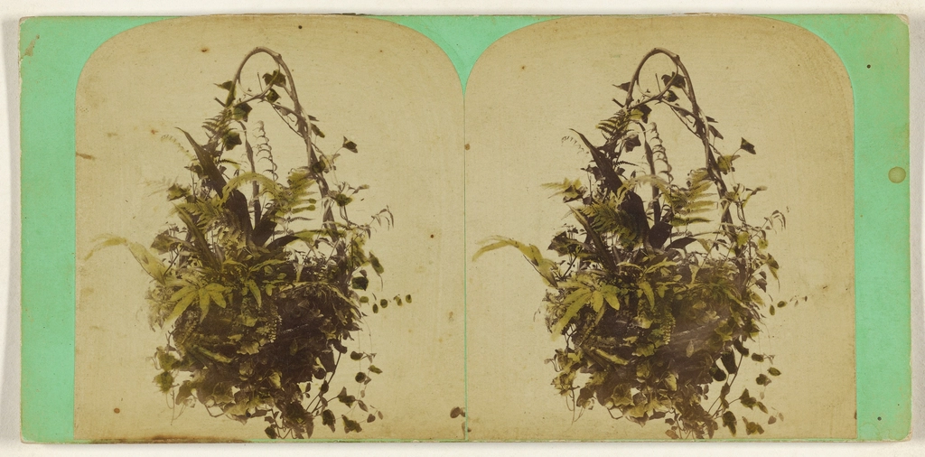 Basket Natural Flowers. Charles Beckford