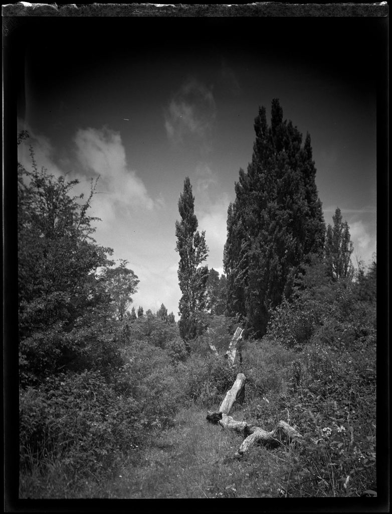 Bay Plenty landscape scenery J