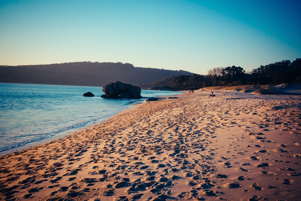 Beach Summer Sand Sun Sea