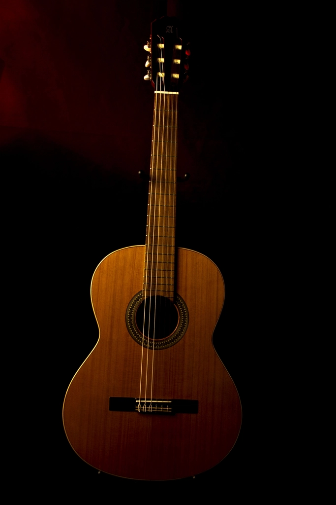 Beautiful acoustic guitar, musical instrument