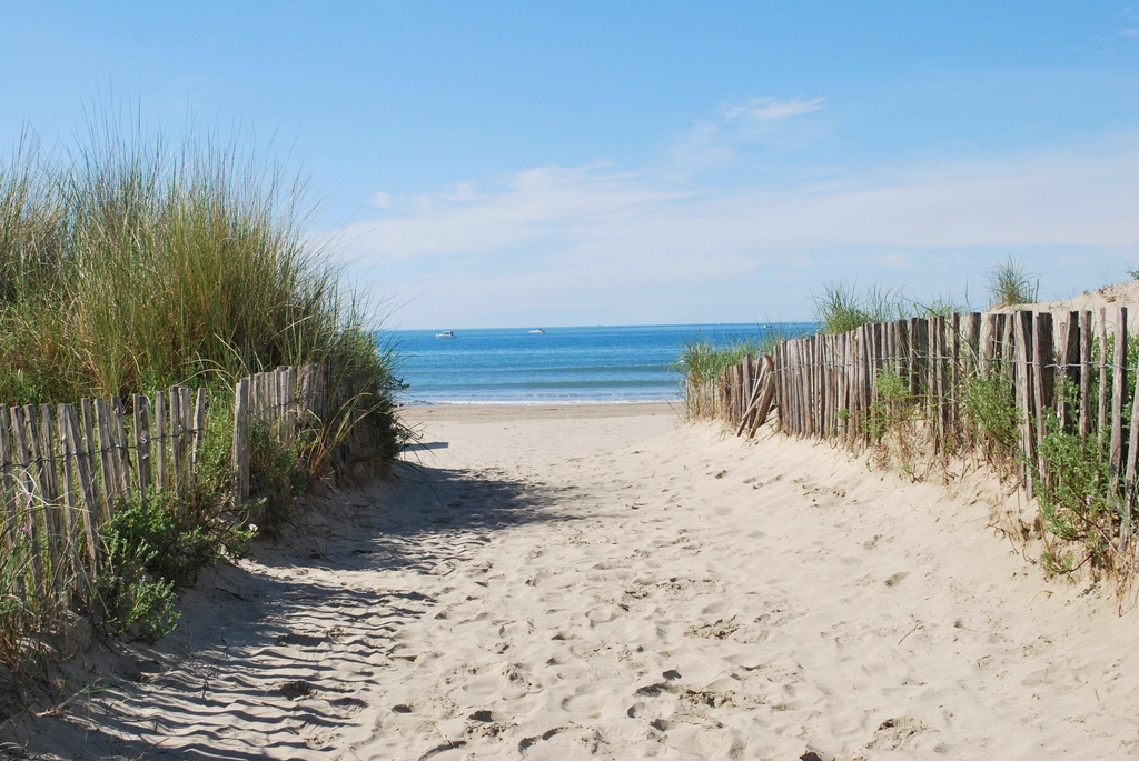 Beautiful beach landscape scenery