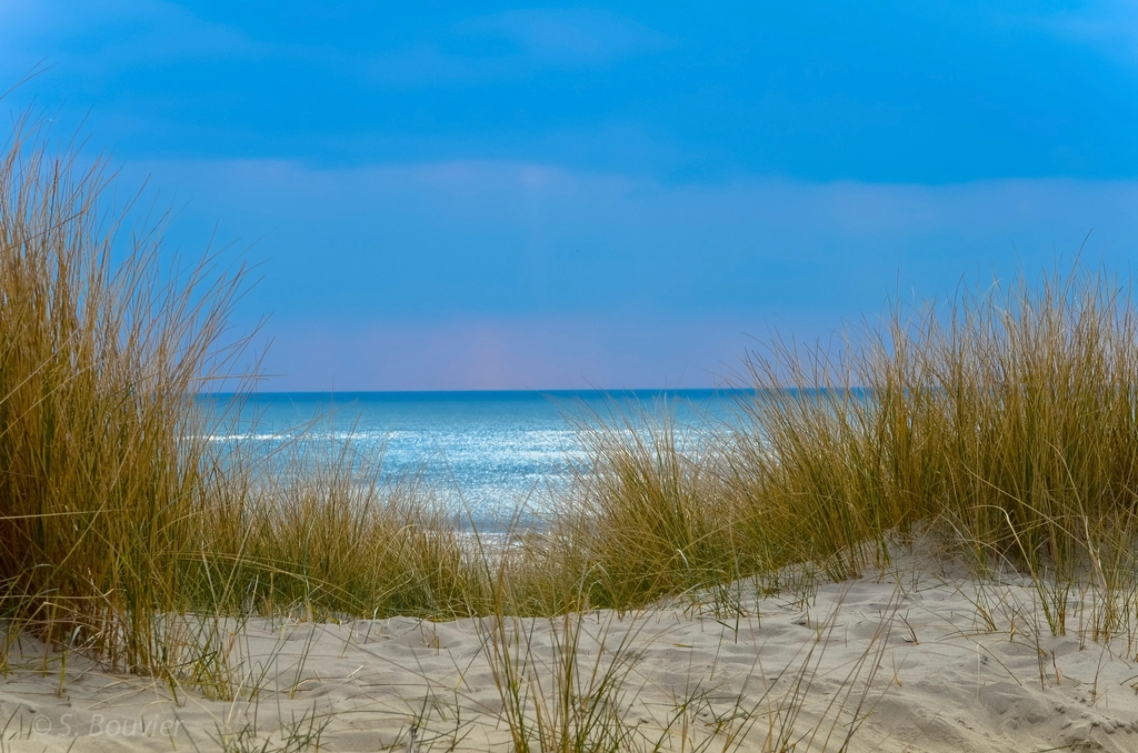 Beautiful beach landscape scenery