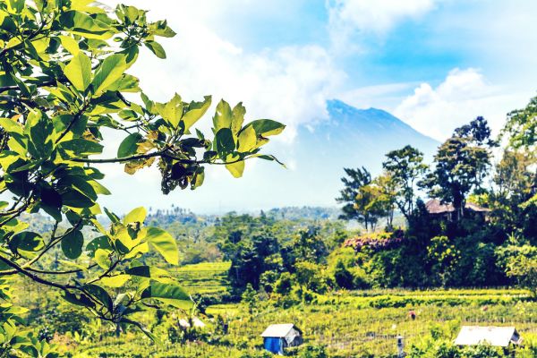 Beautiful green landscape of mount volcano Agung on Bali island.
