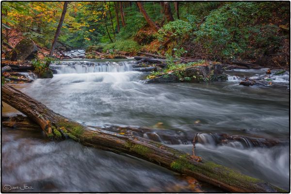 Beaverdams Creek, St. Catharines Ontario