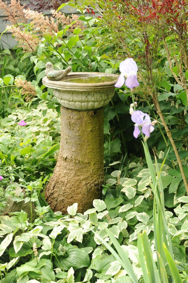 Bird bath bowl with water, decorating an old stump, ligh purple iris, garden plants, Seattle, Washington, USA