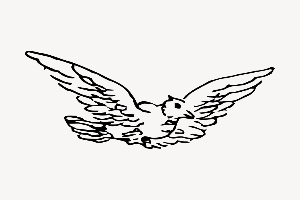Bird clipart, drawing illustration vector