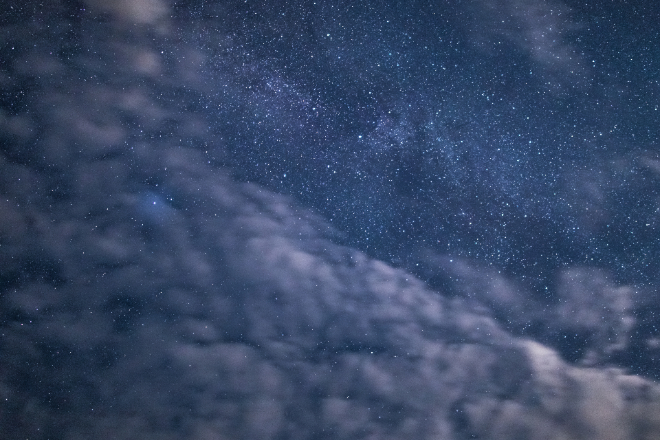 Blue Night