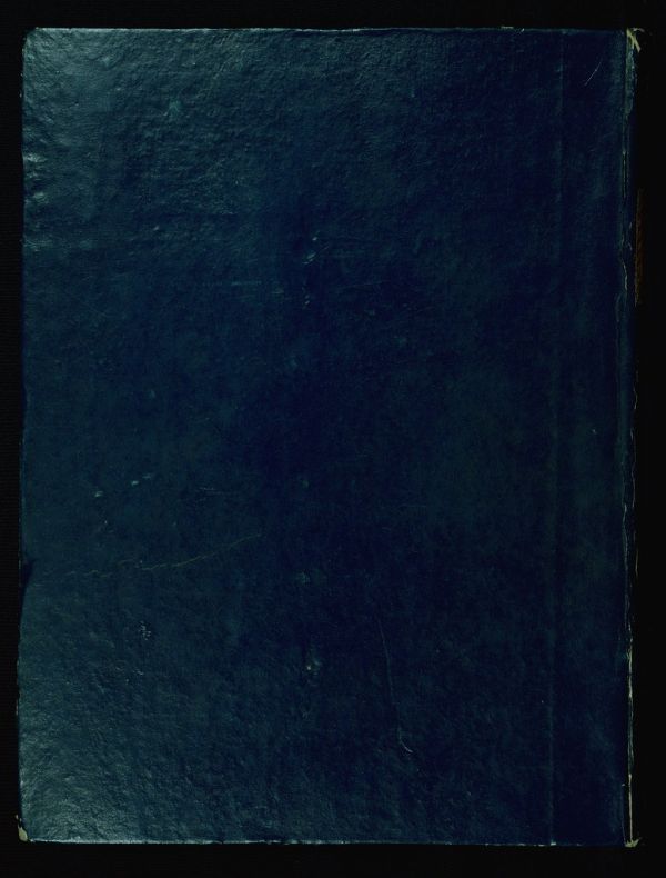 Boccaccio's De Casibus Virorum Illustrium (French translation), Binding, Walters Manuscript W.314, Lower board outside