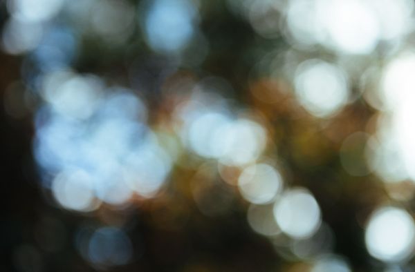 Bokeh Background Texture